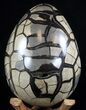 Huge, Septarian Dragon Egg Geode - Crystal Filled #37368-4